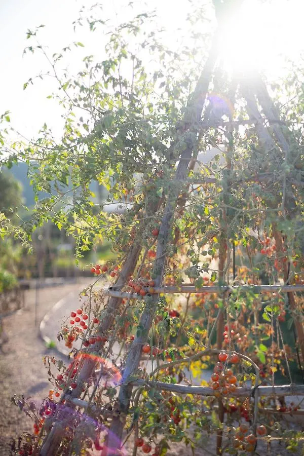 מלון איביזה העיר Casa Maca